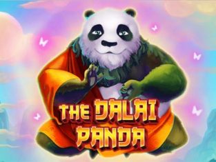 The Dalai Panda Review