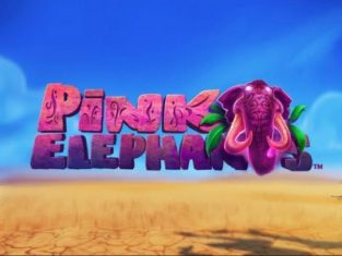 Pink Elephants Slot Review