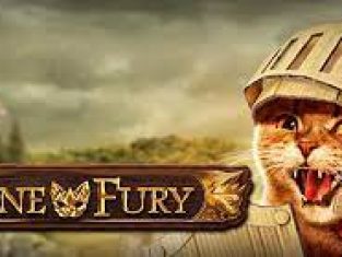 Feline Fury Slot demo