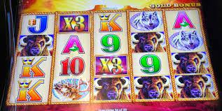 Buffalo Gold Slot Machine 